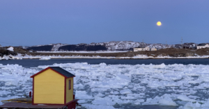 Island Rooted Fogo Island - community rooted in place - Roy Group